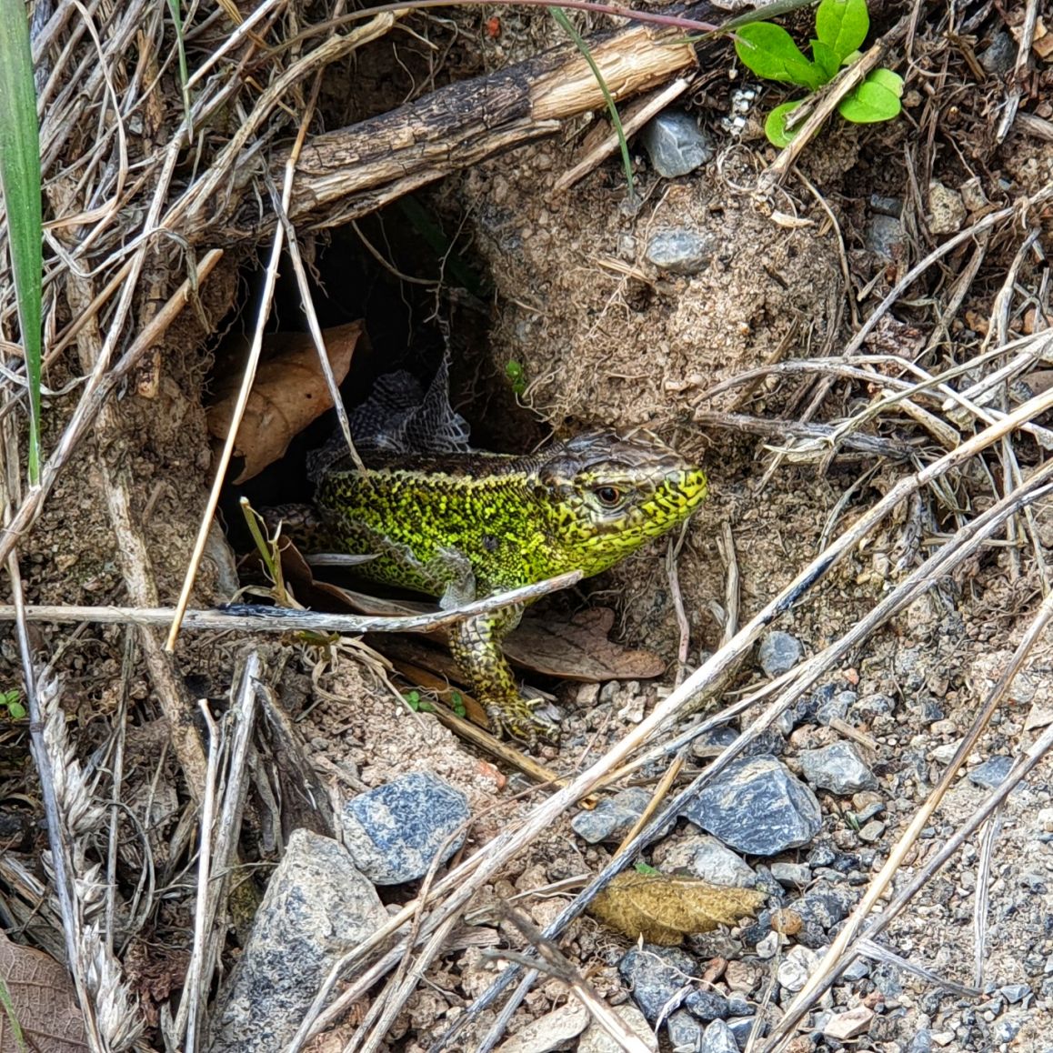Natur in Benhausen | Heinz Rolf